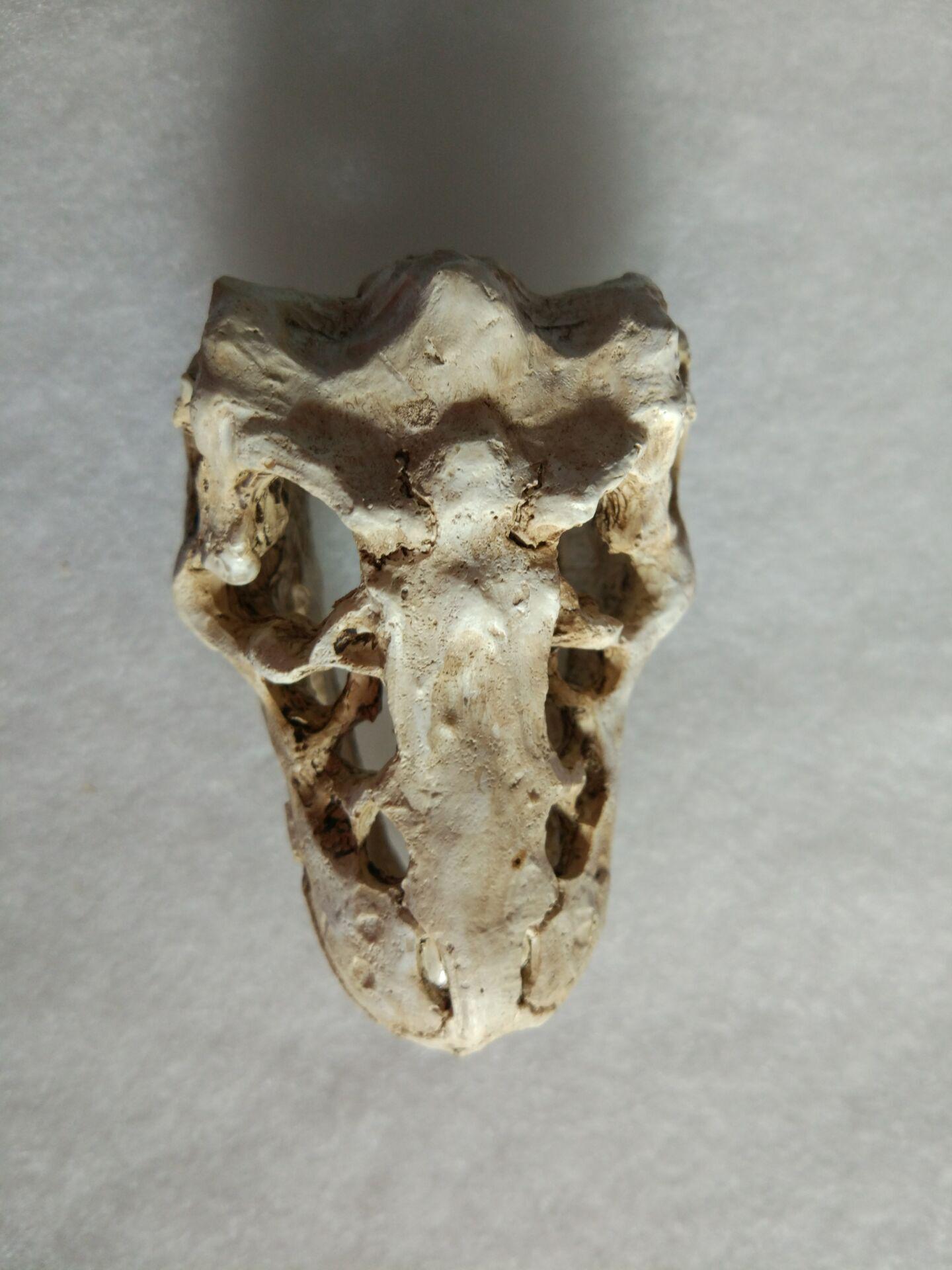 

Смола Череп Динозавра Акваріумна Прикраса Підставка для Рослин - MB169-16