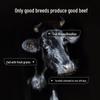 PLUS Co-Branded Australisches Getreidegefüttertes Wagyu M4-5 Rinderfiletspitze