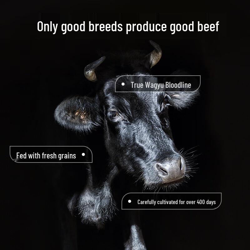 PLUS Co-Branded Australisches Getreidegefüttertes Wagyu M4-5 Rinderfiletspitze
