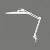 LED Clip-On Cold Light: Foldable Eye-Protective Reading Lamp for Beauty, Tattooing, Eyelash Extensions & Nail Art