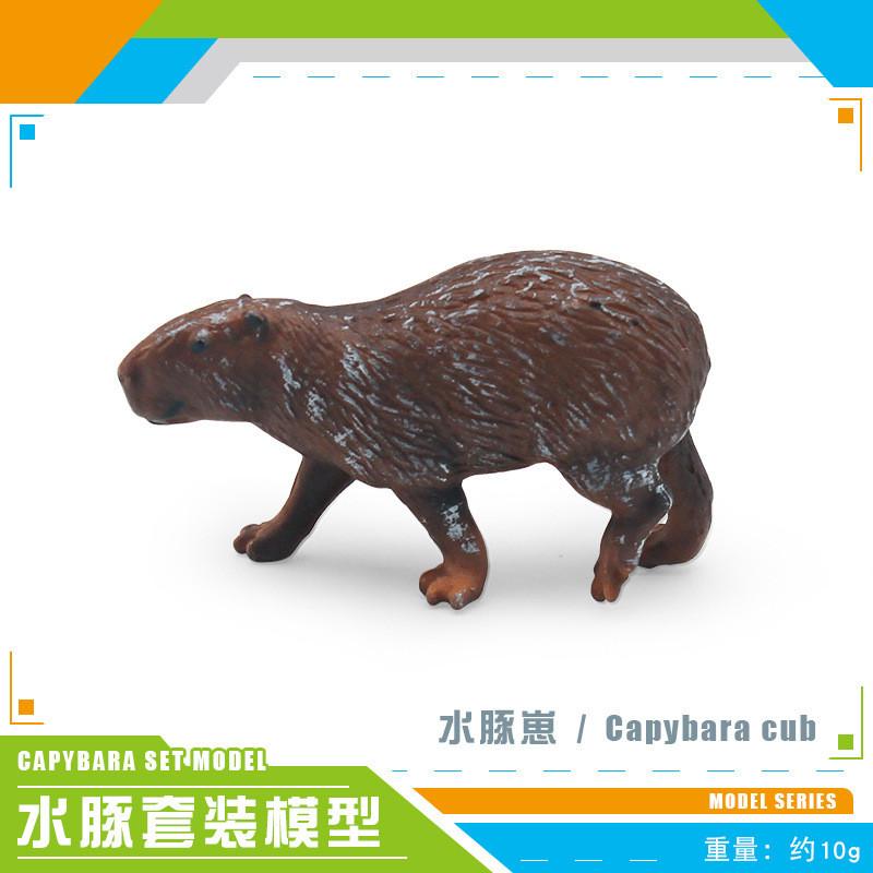 

Realistic Pvc Capybara Model Set With Four Unique Designs For Home Office Decor Capybara Baby 10g