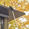 Expandable Rain Gutter Cleaner With Fast Release Mechanism For Easy Assembly Storage And SpiderWebs Removal Tasks