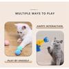 Interactive Launch Training Cat Toy Including Launcher and Bubble Ball Suitable It Is A Sports Toy That Promotes Love and Trust