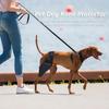 Cães – Cuidados de cães