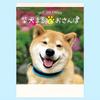 2027 Edition (Reiwa 9 Edition) Calendar Wall Hanging Shiba Inu Maru Walk (53.538cm) NK35