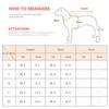 Spring Autumn Cat Clothes for Small Cats Kedi Katten Sphynx Pullovers Soft Fleece Puppy Dog Pet Hoodie Mascotas Clothing Outift
