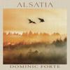 Alsatia by Dominic Forte Paperback Book 9781803782119