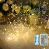 Remote Control LED Copper Wire Fairy Lights