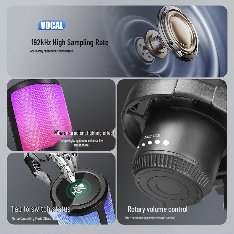 RGB USB Desktop Boom Arm Microphone for Gaming, Streaming & Recording with Mute & Monitoring Features