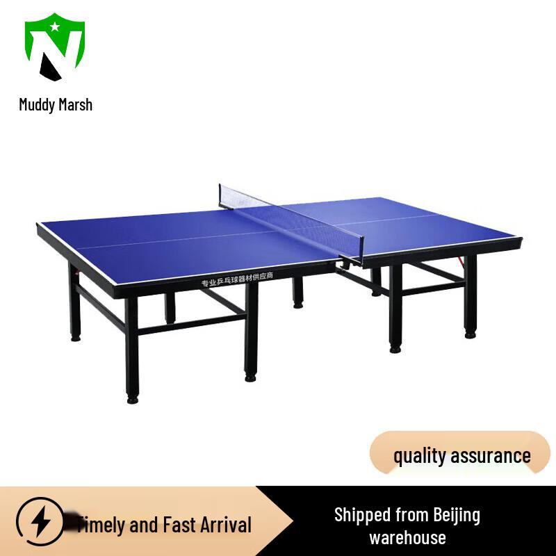 Nize Indoor Mobile Ping Pong Table