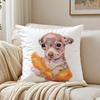 CChihuahua Cushion Cover Pillowcase Antidustmite living Room Sofa Decor Cushion Room