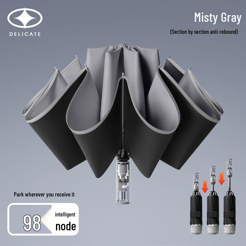 Zuoyou Automatic 10-Rib Folding Umbrella