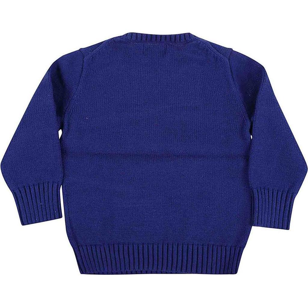 Polo Ralph Lauren Kids Printed Crew Neck Fitted Pullover Sweater Kids Sweater Blue 323920667-001