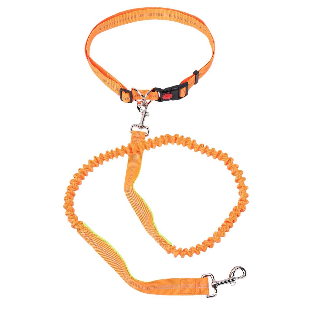 Dog Leash Multifunctional D Ring Reflective Strip Anti Pull Lock Buckle Nylon Dog Rope Leash for Walking