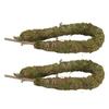 Moss Pole Bendable Safe Moss Plant Rod Plant Support Gardening Tools for Indoor Climbing Plant