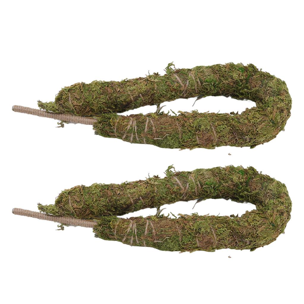 Moss Pole Bendable Safe Moss Plant Rod Plant Support Gardening Tools for Indoor Climbing Plant