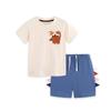 Kids Summer Dinosaur Print Cotton Shorts Set - Boys' Short Sleeve Two-Piece Outfit