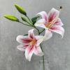 Real Touch 67cm Artificial Lily Flower 3D Printing 2 Heads Fake Lily Bouquet Silk DIY Wedding Bridal Bouquet Living Room Decor