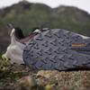 adidas Ботинки для хайкинга Terrex Trailmaker 2 Goretex Speed Lace