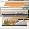 Clear Lid Crab Habitat: Small Hermit Crab & Turtle Desktop Tank