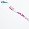 The Best Customized Adult Toothbrush with Medium Bristle Home Use OEM/ODM Available Packaging in China