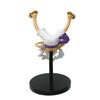 One Piece DXF Sonnengott Nika: Luffy Gear Fifth, Zoro, Sanji, Nami, Chopper, Kid, Killer Figuren.