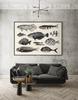 Poster Fish Little Fish