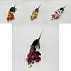 Butterfly Orchid Artificial Arrangement For Event Design And Photography Studio Decor With Durable Material