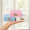 Rectangular Combination Lock Storage Box Solid Color Jewelry Storage Box  Home Office