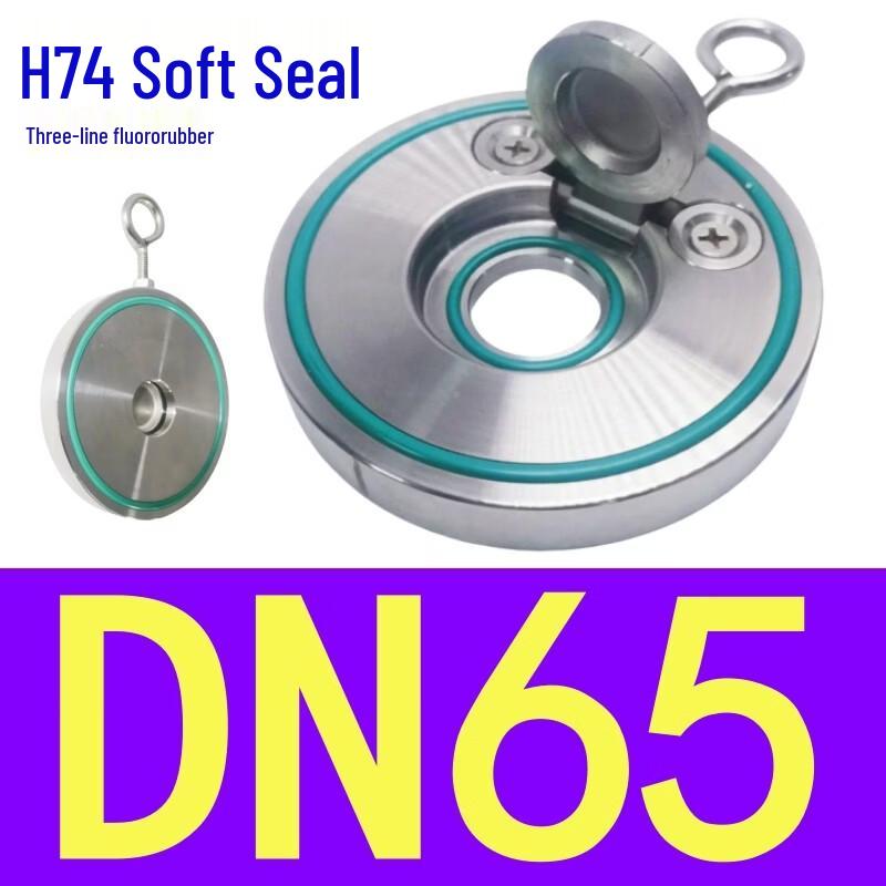 Rong Yu 304 Stainless Steel Wafer Swing Check Valve