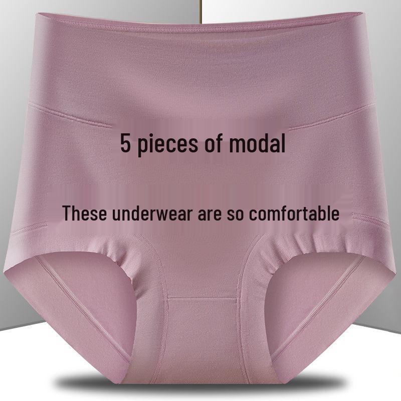 Modal Women's High Waist Tummy Control Plus Size Briefs with Antibacterial Crotch