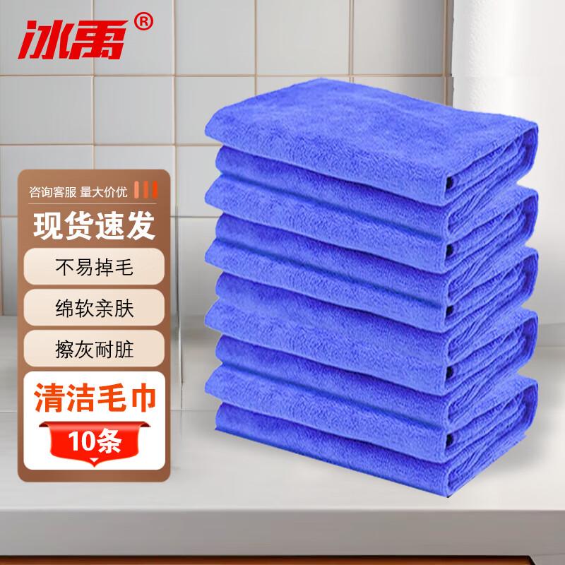 Bingyu 30x60cm Multi-Purpose Cleaning Towels (10 Pack)