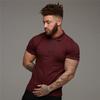 New Arrival Men Zip Polo Tees Cotton Fitness Polo T-Shirt  Fashion Brand Short Sleeve Gym Bodybuilding Clothing