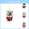 Cute Cartoon Christmas Cat Socks Hanging Decoration Festive Auto Ornament