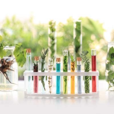 Teaching Equipment Chemical Wedding Favor Gift Tube Laboratory Clear Plastic Test Tubes Storage Containers With Corks Caps