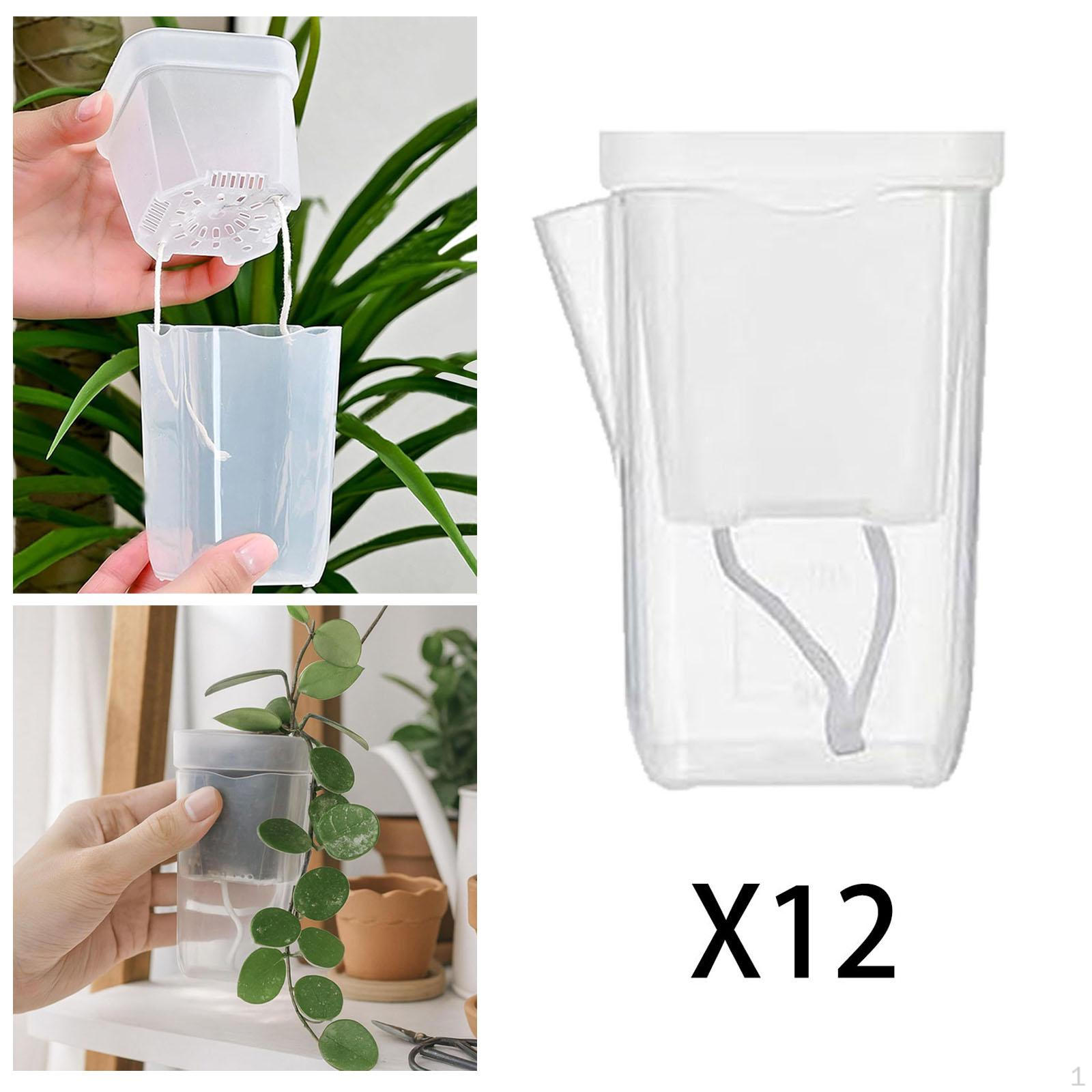 

12 Pieces Self Watering Pots Flower Plant Containers Transparent Double Layer Construction S