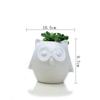 New Japanese And Korean Animal Flower Pot Series, A Variety Of Creative White And Blue Small Flower Pot Ornaments, Owl Succulent Pot