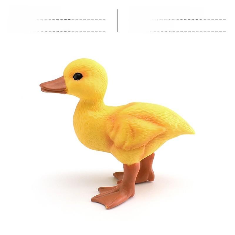 Childrens Pvc Bird Figurines Set For Farm Scene Decor And Learning Activities