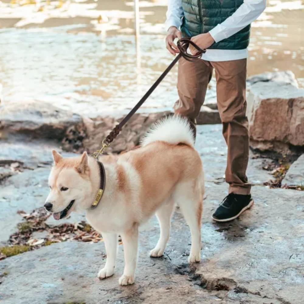 Long Leather Braided Dog Leash With Copper Hook Dog Traction Rope Pet Products German Shepherd