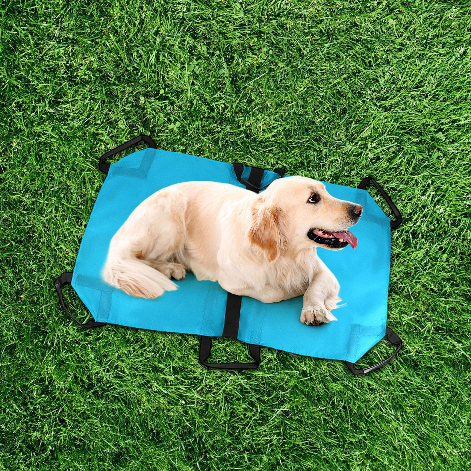 

Носилки для перевозки домашних животных, складные, с ремнем безопасности, для экстренной помощи собакам синий