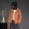 Fashion and literary down jacket women's short 2025 winter new white duck down stand-up collar mother's thermal jacket large size