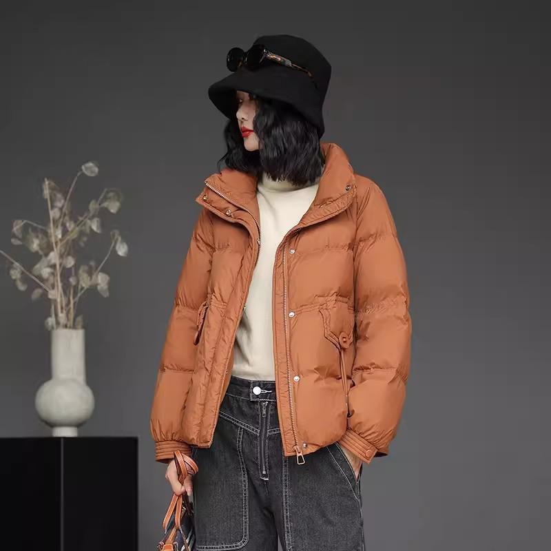Fashion and literary down jacket women's short 2025 winter new white duck down stand-up collar mother's thermal jacket large size