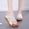 Foreign trade slippers spring and summer new thick-soled wedge heels middle-aged and elderly cool slippers women's hollowed-out large-size Roman wome
