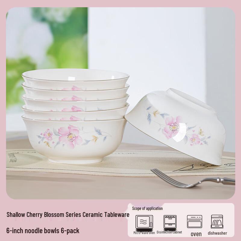 Premium Ceramic Noodle Bowl Set