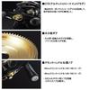 Daiwa Tatula reel 100SHL-TW