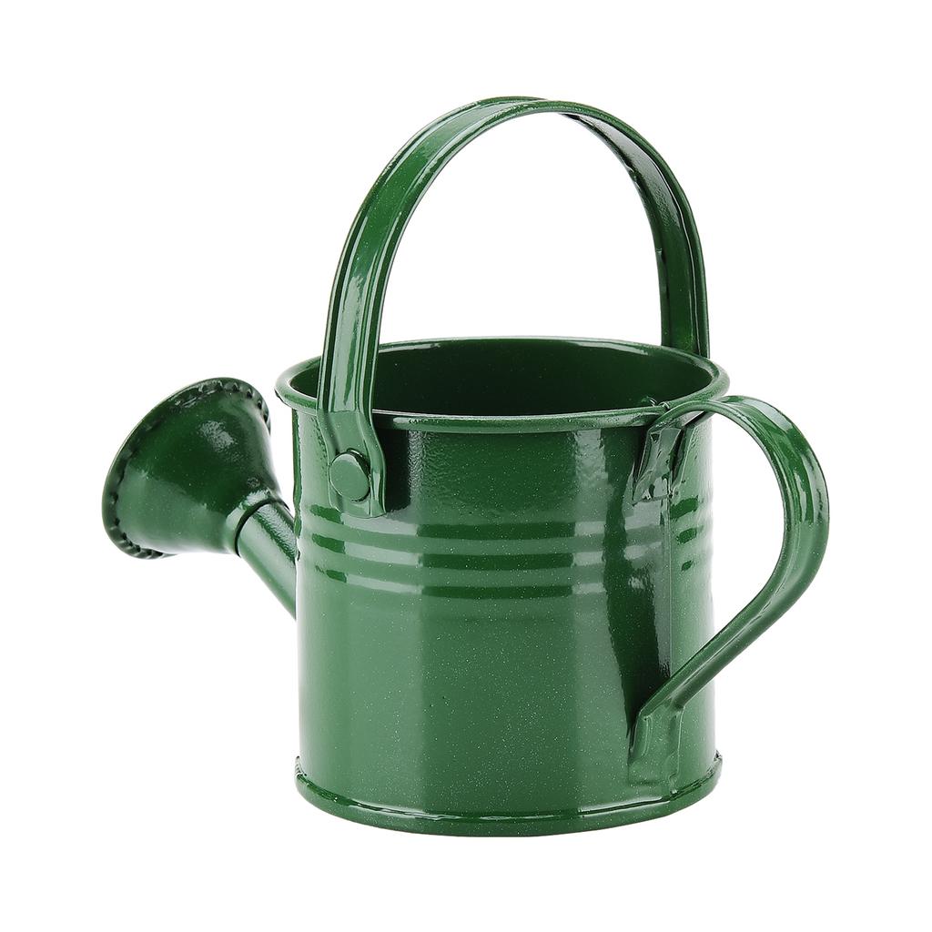 Mini Grüne Gießkanne 160ml Kleines Fassungsvermögen Gartenpflanzen Sprühkanne Topf