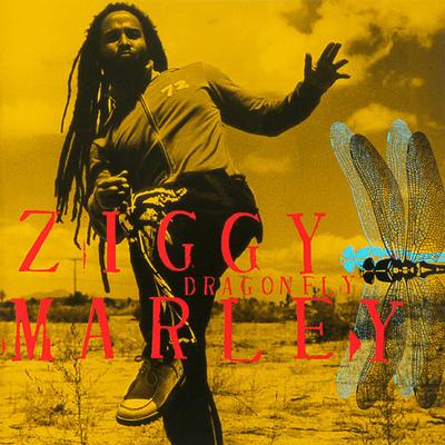 CD ZIGGY MARLEY - Dragonfly 01934116362 Private Music 2003 Europe Reggae, Ska & Dub Used