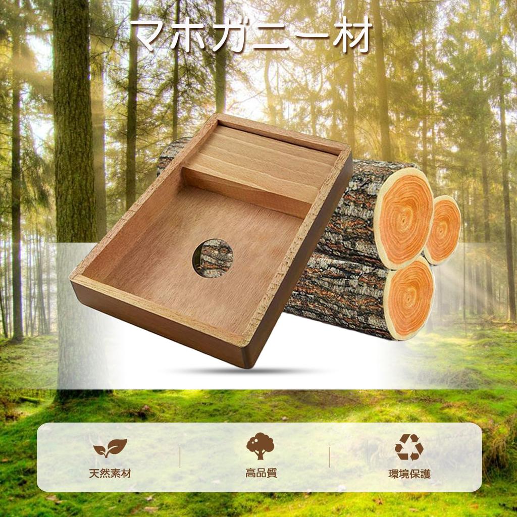 Kalimba 17 Keys Mahogany Thumb Piano Beginner Set with Tuning Storage Protective Japanese Language Learning Sheet Katakana Scale Gift for Children and