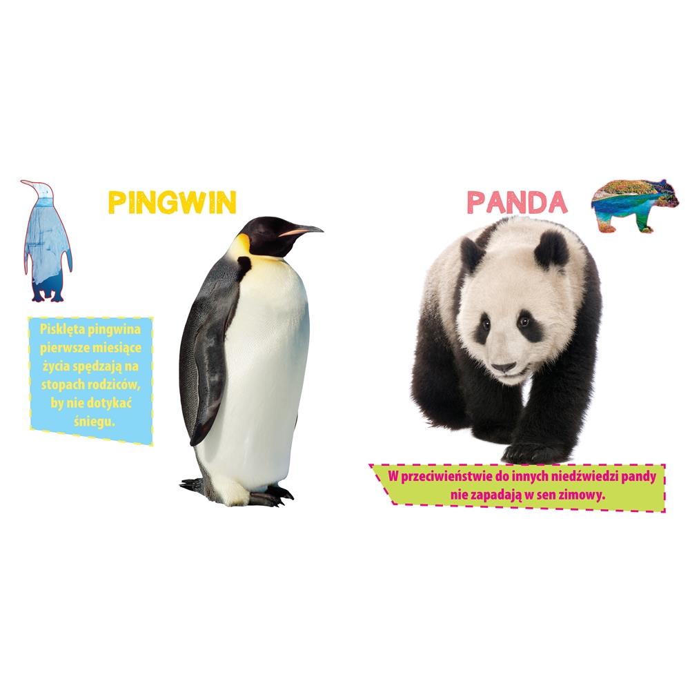 Wesołe Zoo Książeczka Dla Dzieci Ciekawostki O Zwierzętach Oprawa Twarda