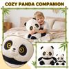 Plush Toys, Cute And Perfect Birthday Gifts For Friends And Classmates, Graduation Gifts